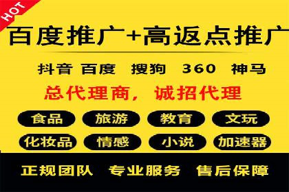 SEM推广在本地化服务中的应用案例